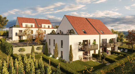 Programme immobilier neuf VITIS - Wettolsheim proche de Colmar centre (68920) - Référence : 9117