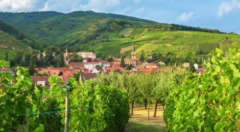 Programme immobilier neuf VITIS - Wettolsheim proche de Colmar centre (68920) - Référence : 9117